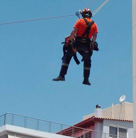 Ομάδες Διασωστικών Σκύλων 