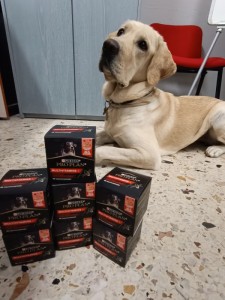 Η PURINA στο πλευρό των τετράποδων μελών μας