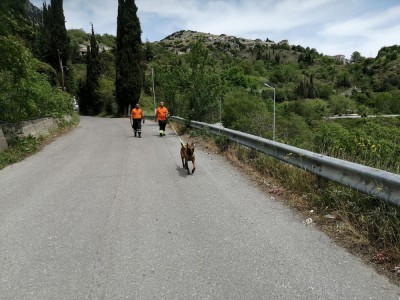 Παγκόσμια Ημέρα των Ζώων